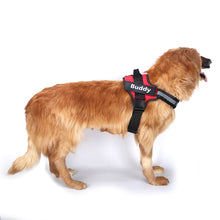 Load image into Gallery viewer, Personalized Dog Reflective Harness
