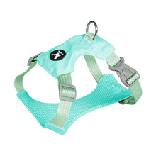 Load image into Gallery viewer, Nylon Dog Vest And Leash Set
