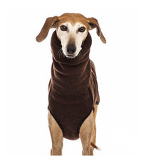 Load image into Gallery viewer, High Collar Clothes For Dogs
